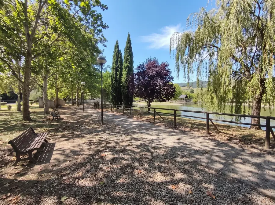 A tree-lined path with benches along the lake at the Oasi Fiume Alento